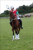 UKPA NC SAT_2678